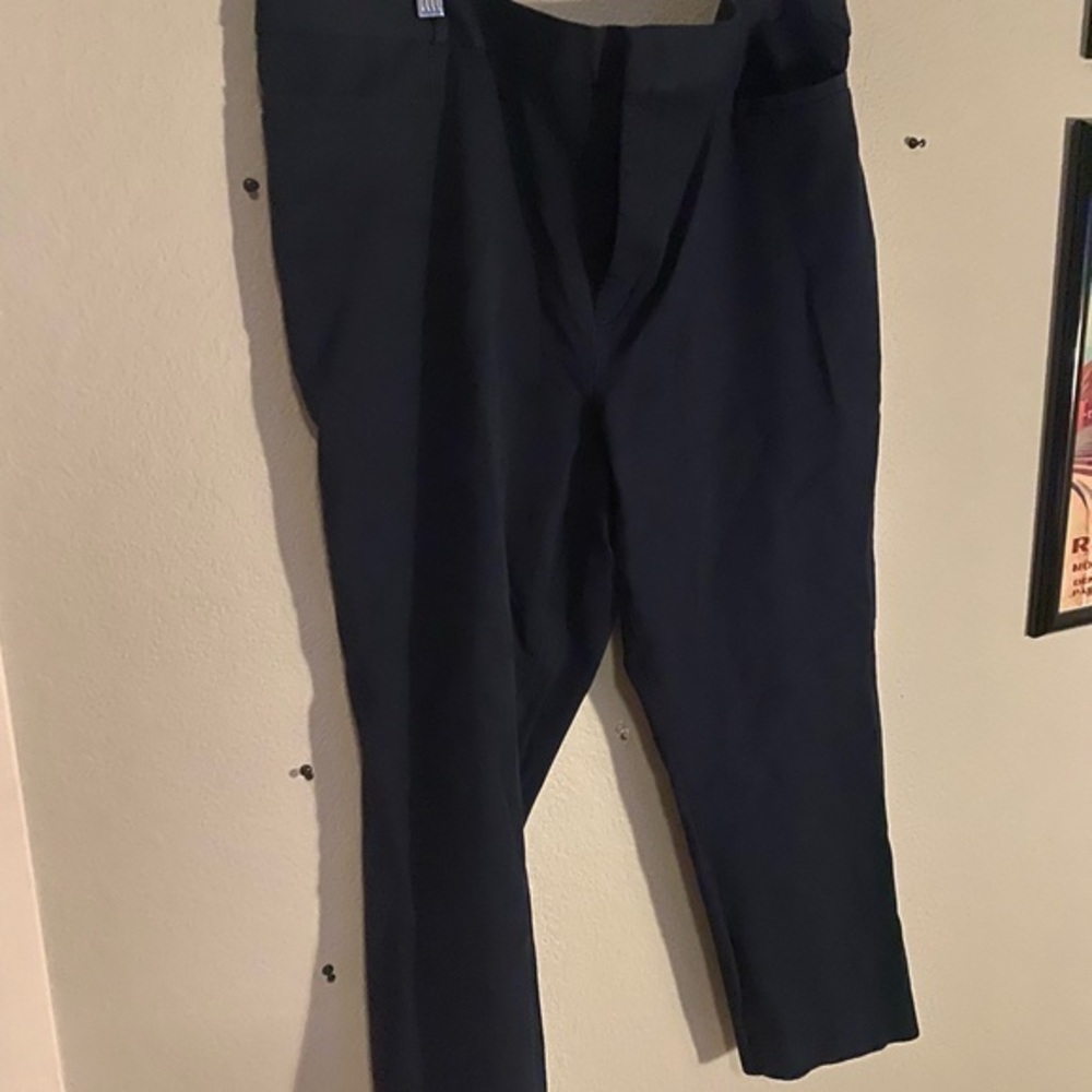 Banana Republic Navy Dress Pants